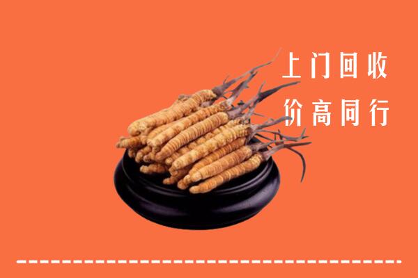 克拉玛依回收冬虫夏草