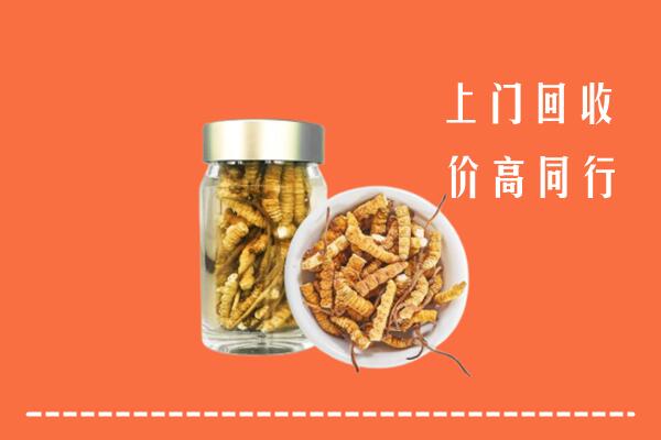 克拉玛依回收冬虫夏草