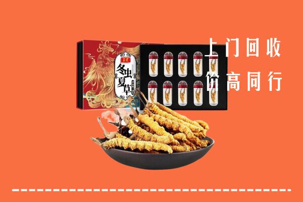 克拉玛依回收虫草